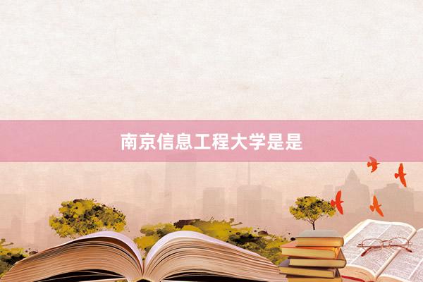 南京信息工程大学是是