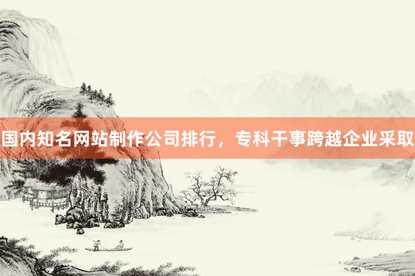 国内知名网站制作公司排行，专科干事跨越企业采取